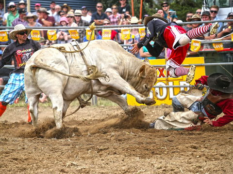 Jindabyne's Man From Snowy River Rodeo - Surfers Gold Coast 0