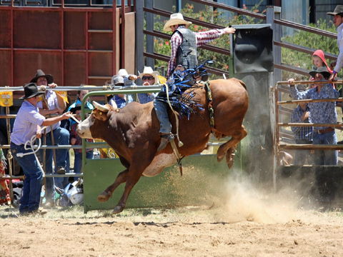 Jindabyne's Man From Snowy River Rodeo - Surfers Gold Coast 2