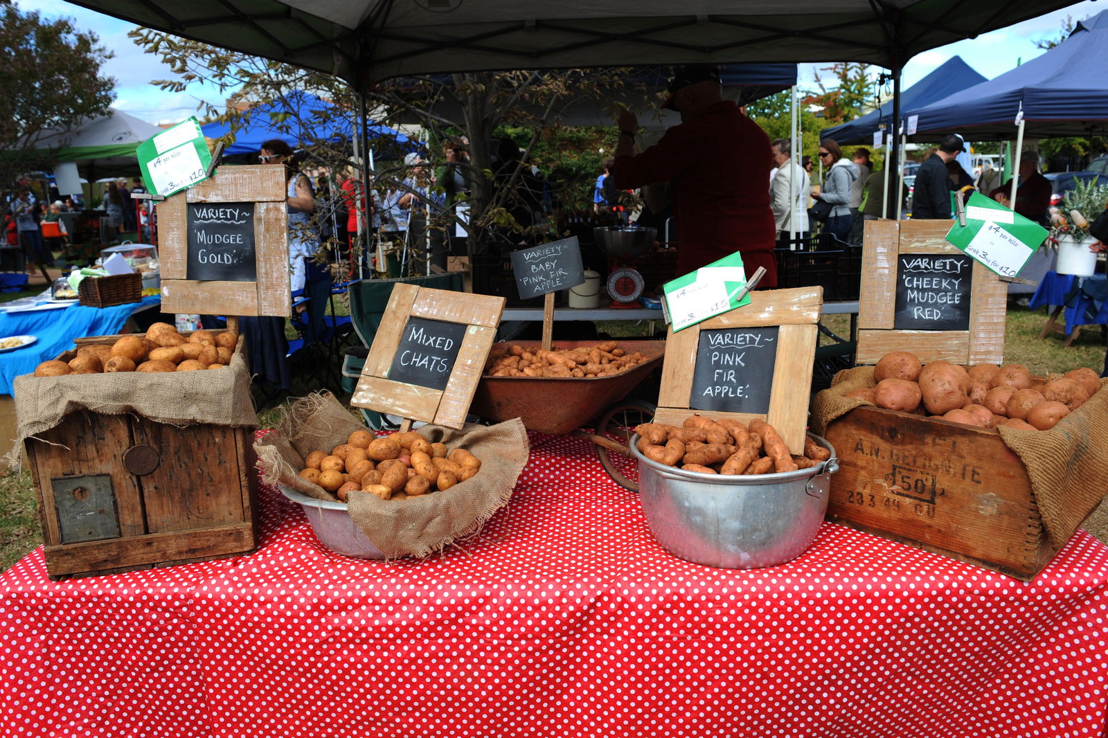 Mudgee NSW Surfers Gold Coast