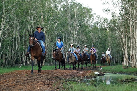 Night Horse Ride And Dinner - Surfers Gold Coast 0