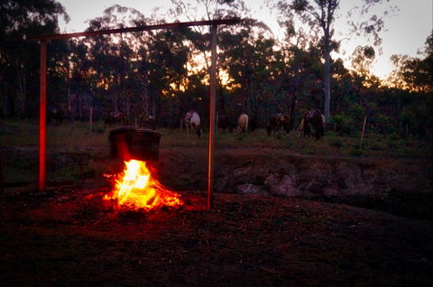 Night Horse Ride And Dinner - Surfers Gold Coast 2