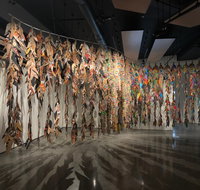 Regenerate - Surfers Gold Coast