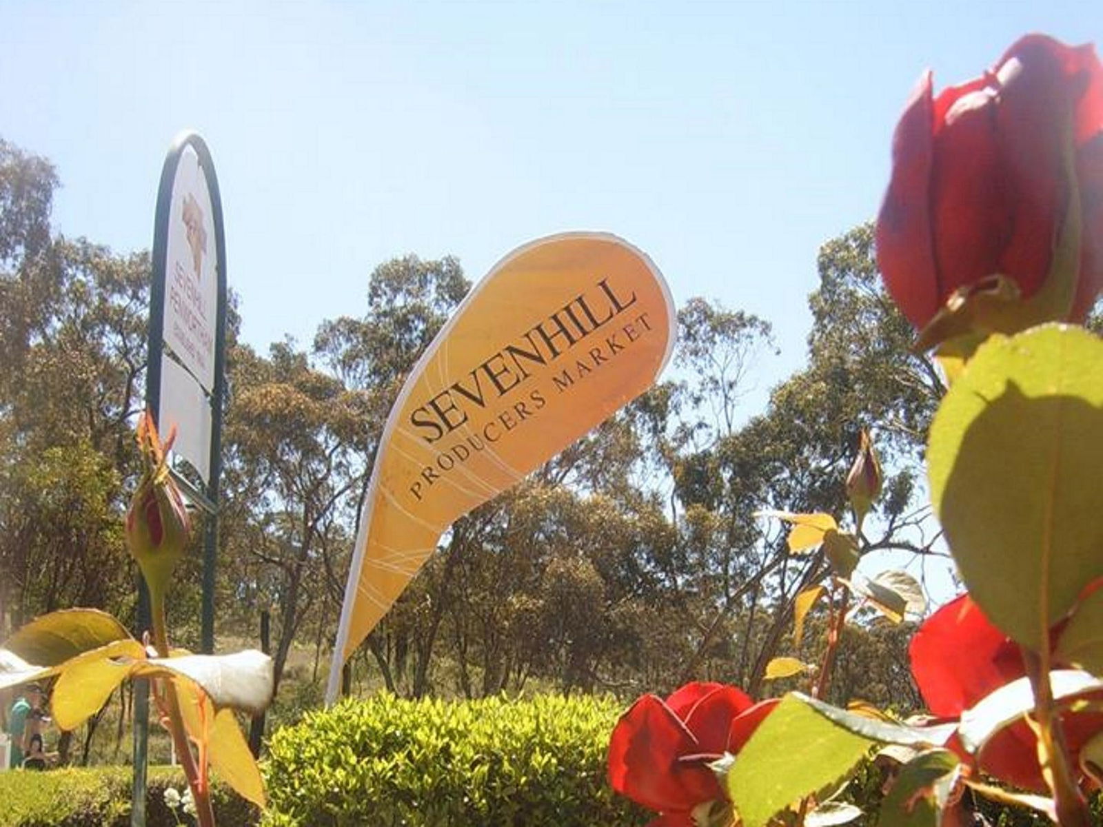 Sevenhill SA Surfers Gold Coast