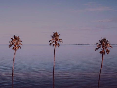 Sunset Streaming Live DJ Streams - Surfers Gold Coast 0