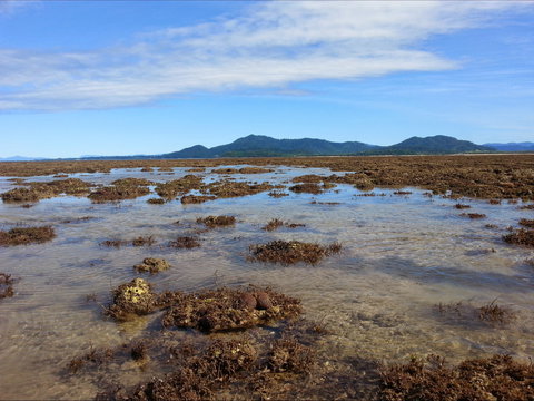 Walk To The Reef - Surfers Gold Coast 0