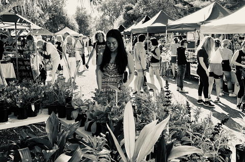 Yamba Farmers And Producers Market - Surfers Gold Coast 0
