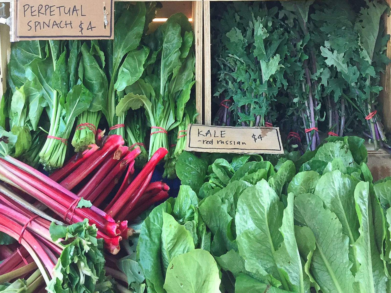 Bethanga VIC Surfers Gold Coast