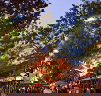 Alice Springs Town Council Night Markets - Surfers Gold Coast