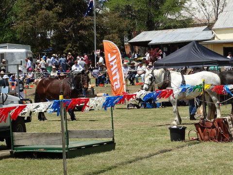 Carcoar Show - Surfers Gold Coast 0