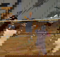 Charlton Badminton Club Ladies Tournament - Surfers Gold Coast