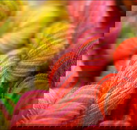 Creative Fibre - Surfers Gold Coast