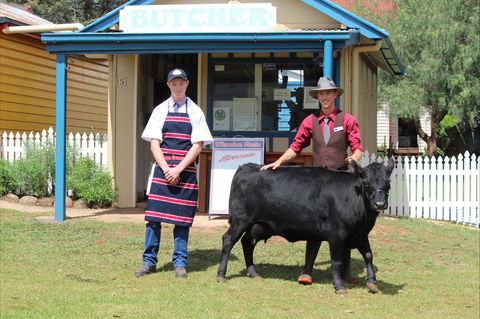 Festival Of The Big Cow - Surfers Gold Coast 2