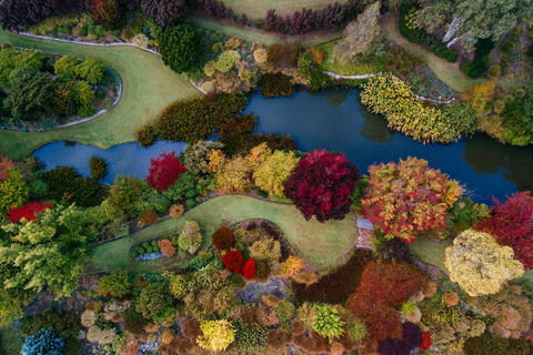 Glenrock Gardens Open Garden - Surfers Gold Coast 0