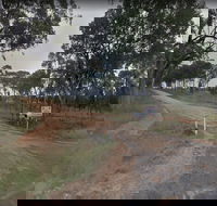 Hartwood Campfires and Country Music - Surfers Gold Coast