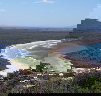 Head to Head Walk Run - Surfers Gold Coast