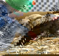Horsham Agricultural Show - Surfers Gold Coast