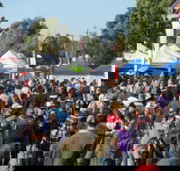 Hunter Valley Caravan Camping 4WD Fish and Boat Show - Surfers Gold Coast