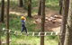 July 2020 Holidays- Go Wild At The Mt Lofty Adventure Hub - thumb 0