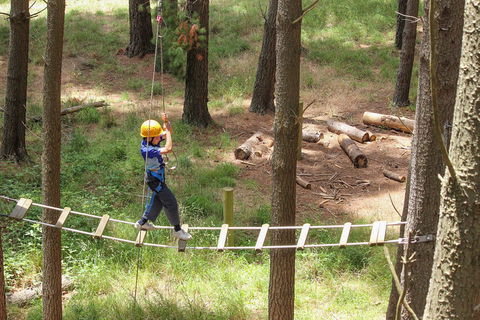 July 2020 Holidays- Go Wild At The Mt Lofty Adventure Hub - Surfers Gold Coast 0