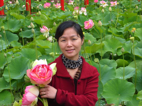 Lotus Flower Season - Surfers Gold Coast 1