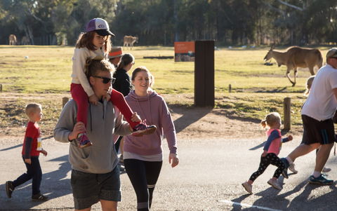 MAAS Group Dubbo Stampede Running Festival - Surfers Gold Coast 1