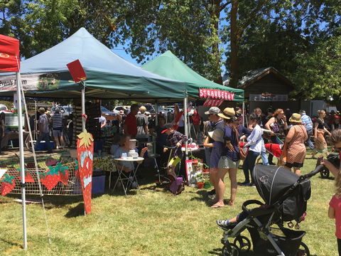 Macclesfield Strawberry Fete - Surfers Gold Coast 1