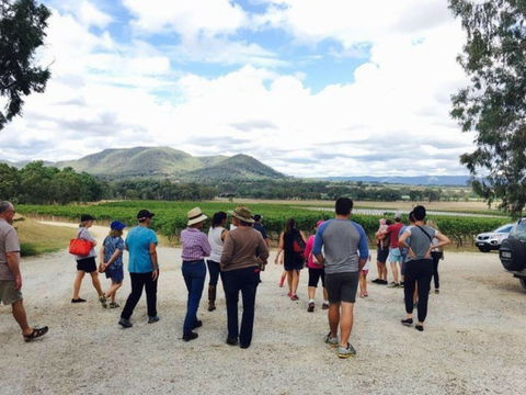 Mudgee Farm Walks - Surfers Gold Coast 1