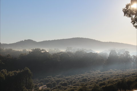 Mudgeeque - Surfers Gold Coast 0