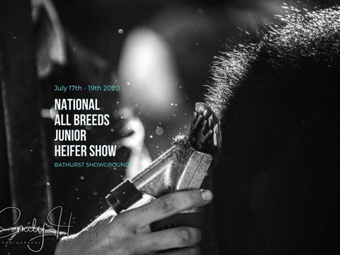 National All Breeds Junior Heifer Show - Surfers Gold Coast 0