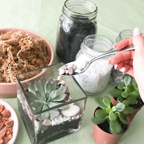 Online Live Streaming Class: Make Your Own Terrarium - Surfers Gold Coast 0