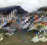 Perthville Village Fair - Surfers Gold Coast