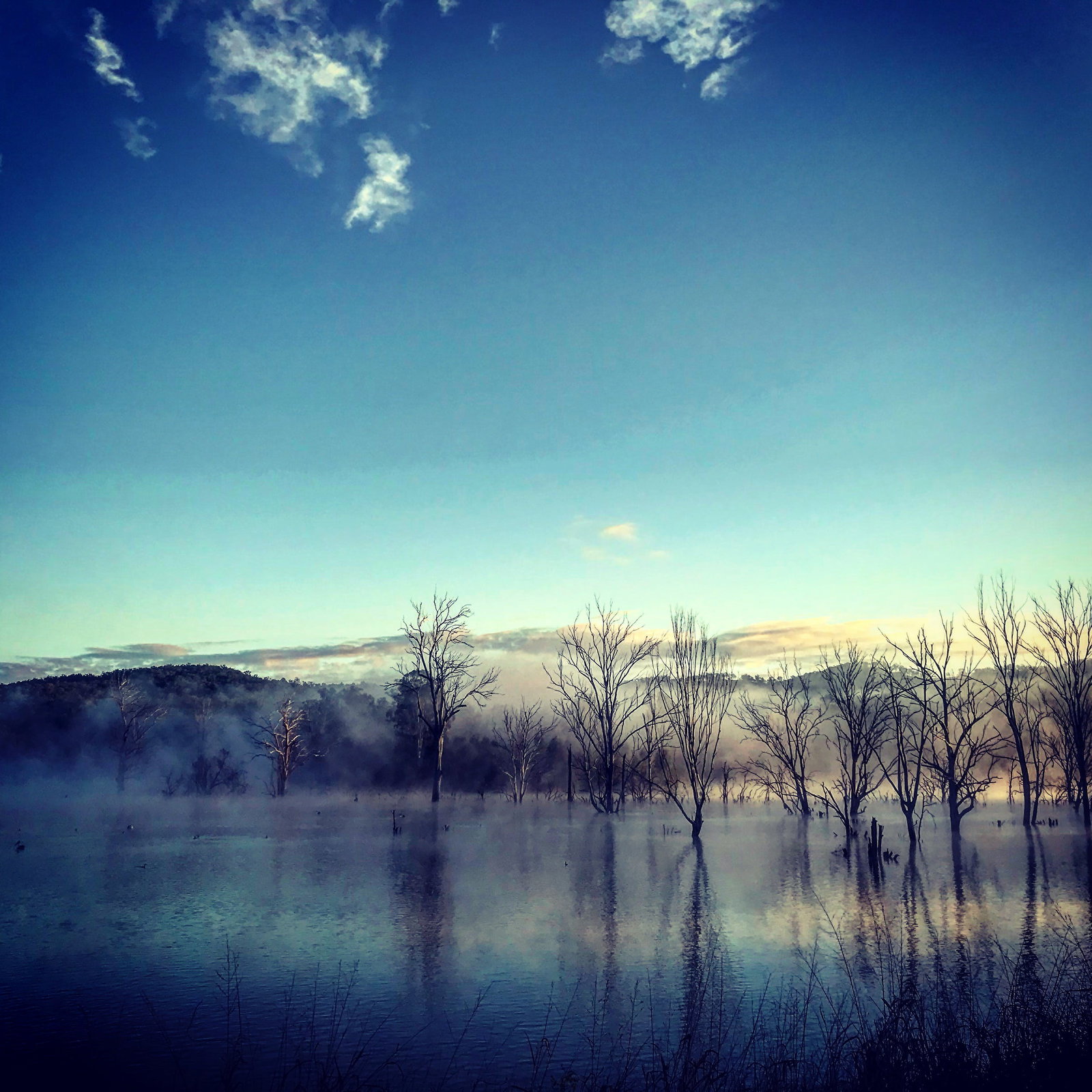 Anthony QLD Surfers Gold Coast