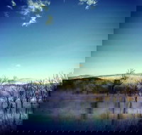 Scenic Rim Ultra - Surfers Gold Coast