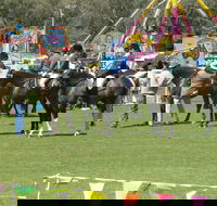 Wangaratta Show - Surfers Gold Coast