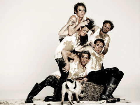 Animal Farm - Launceston - Surfers Gold Coast 0