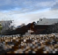 Bothwell SpinIN 2021