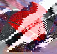 Collectable Sundays - Bus Depot Markets - Surfers Gold Coast