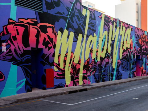 Darwin Street Art Festival - Surfers Gold Coast 1