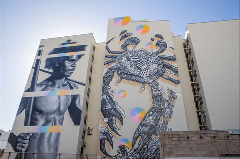 Darwin Street Art Festival - Surfers Gold Coast 2