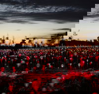 Field of Light Uluru - Surfers Gold Coast