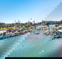 Fred Williams Aquatic Festival - Surfers Gold Coast