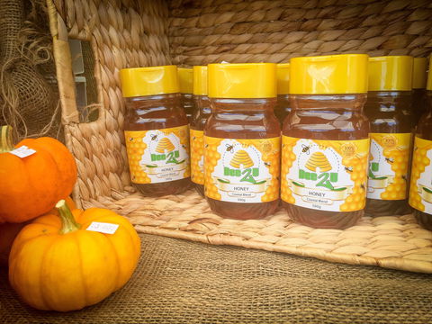 Greater Whitsunday Farmers Markets - Surfers Gold Coast 1