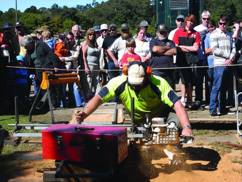 Maleny Wood Expo: From Seed To Fine Furniture - Surfers Gold Coast 2
