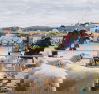 Mudgee Small Farm Field Days - Surfers Gold Coast