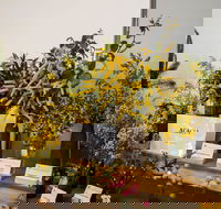 Pomonal Native Flower Show - Surfers Gold Coast