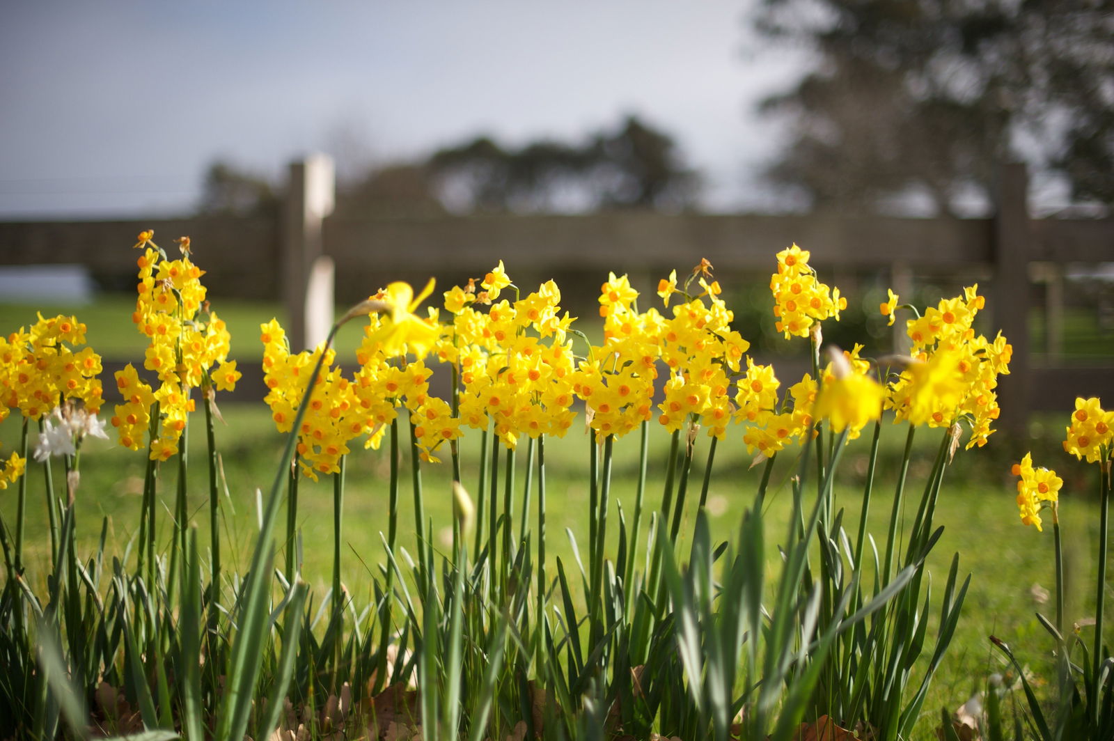 Langwarrin VIC Surfers Gold Coast