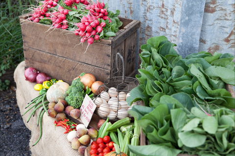Ma Ma Creek Markets - Surfers Gold Coast 0