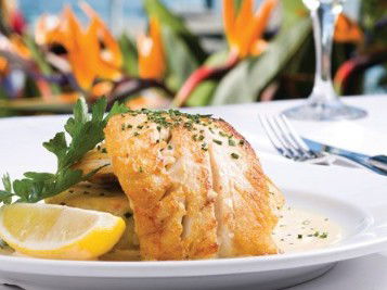 Adria Rybar & Grill - Surfers Gold Coast 2