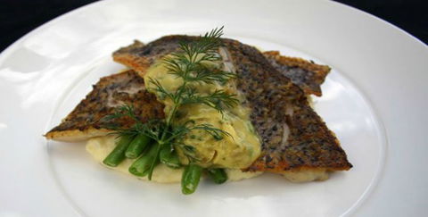 Aquarius Seafood Restaurant - Surfers Gold Coast 2