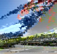 Coconut Grove - Surfers Gold Coast